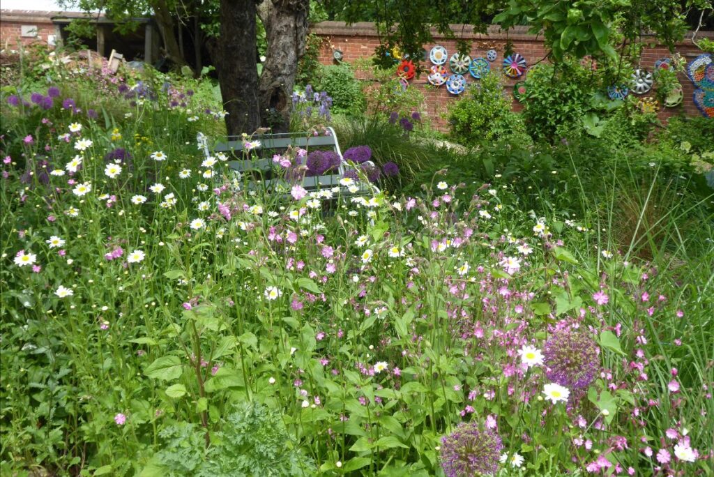 Flowers in the garden