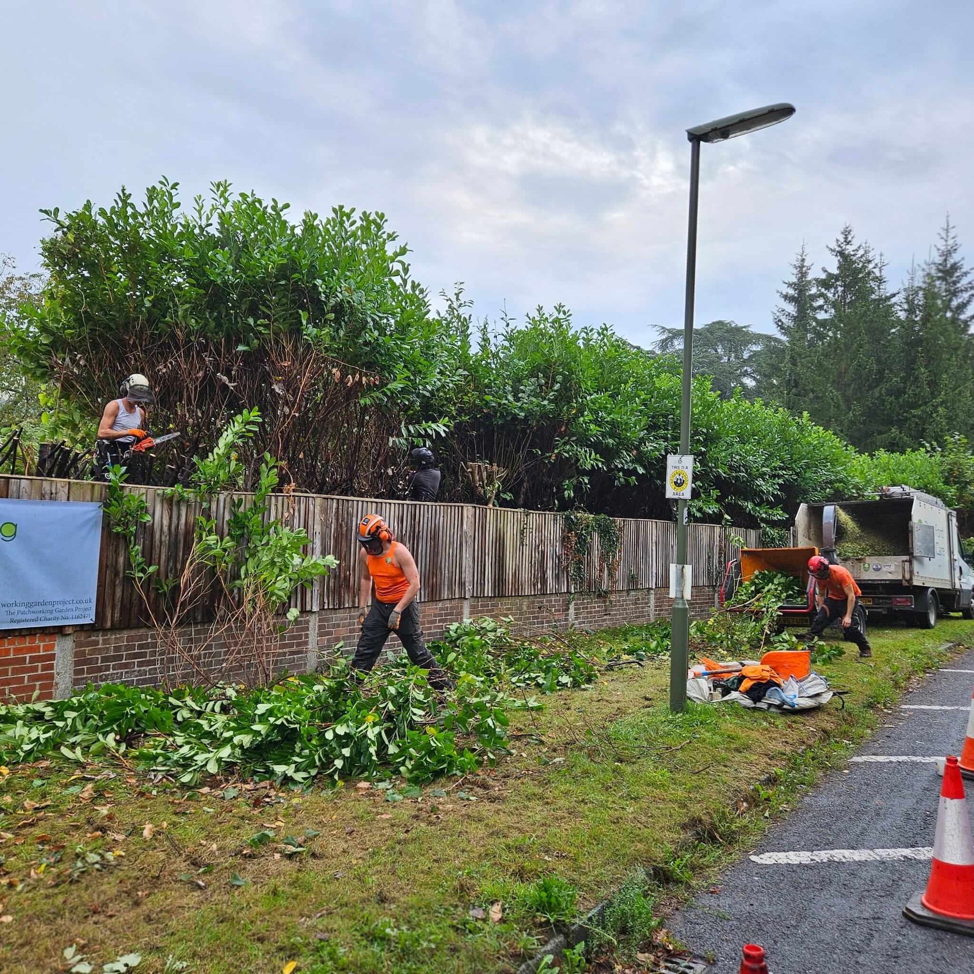 Dave Ford Tree Care