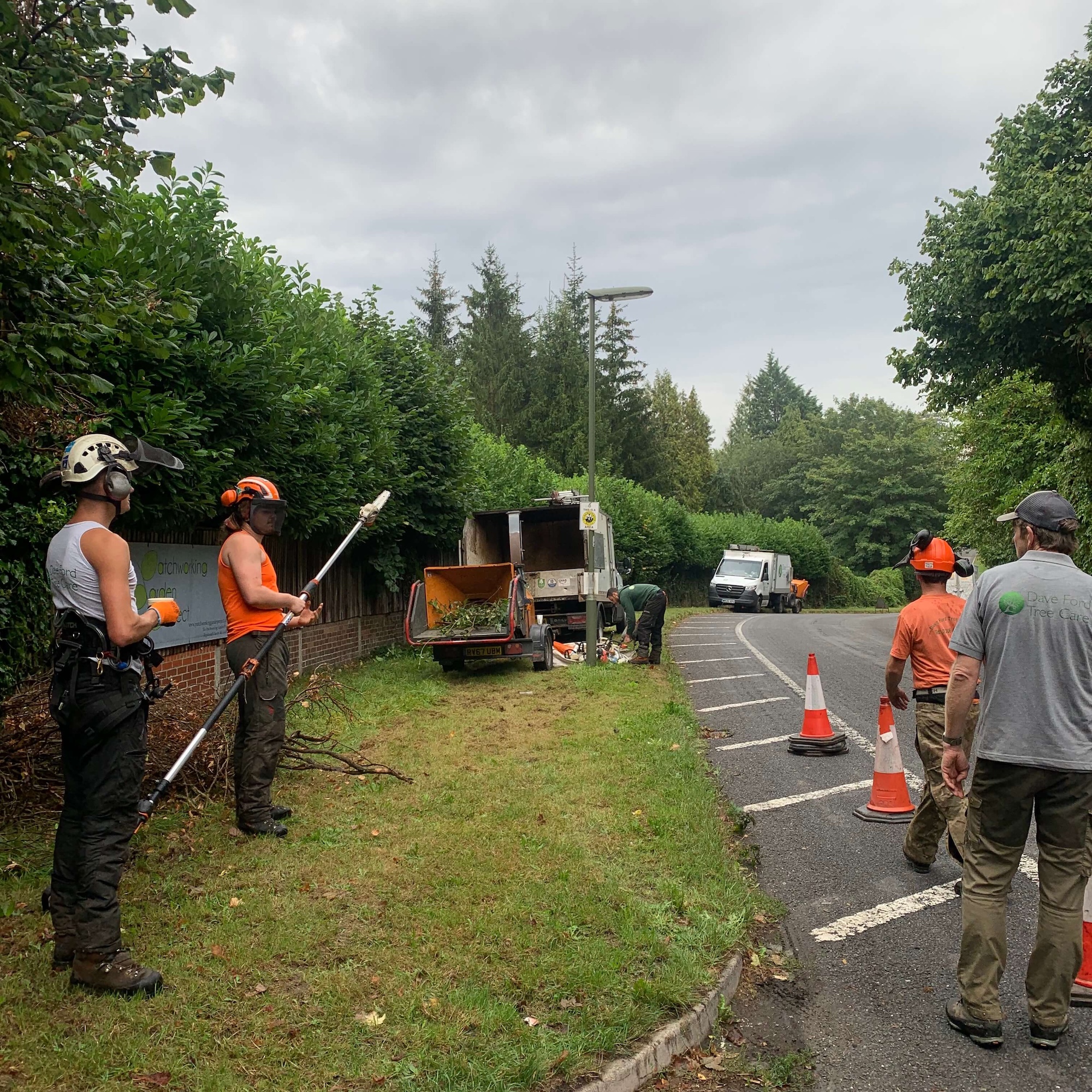 Dave Ford Tree Care team