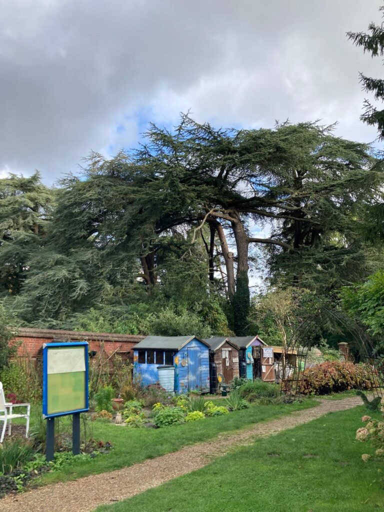 Photography Workshop in the Garden