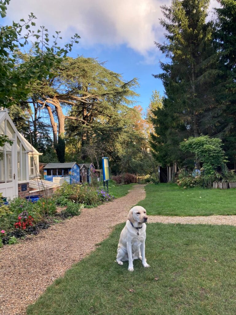Photography Workshop in the Garden